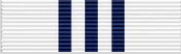 Cadet Medal
